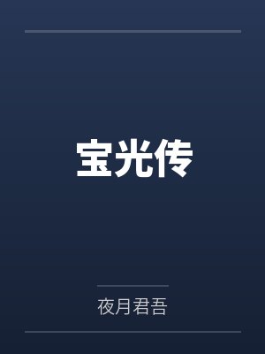 宝光传封面