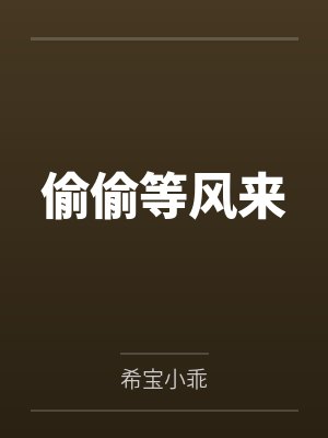 偷偷等风来封面