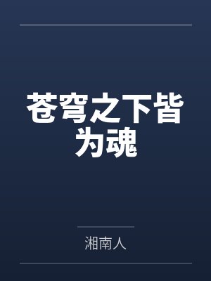 苍穹之下皆为魂封面