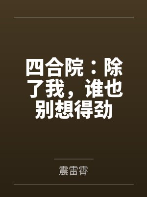 四合院：除了我，谁也别想得劲封面