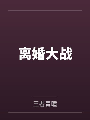 离婚大战封面