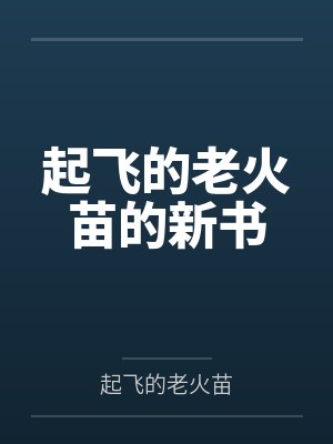 起飞的老火苗的新书封面