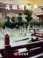 夜雨悄默声封面