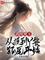 满级黛玉：从摸到丫鬟狐尾开始封面
