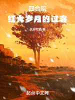 四合院：红火岁月的过客封面