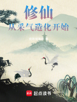 修仙从采气造化开始封面