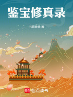 鉴宝修真录封面