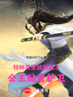 特种兵穿越战国之公主贴身护卫封面