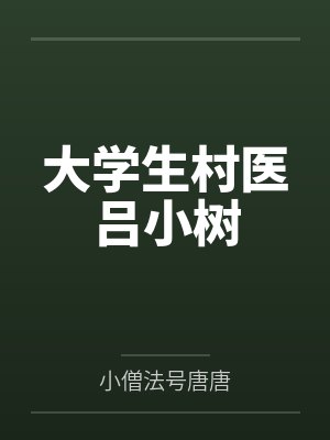 大学生村医吕小树封面