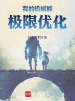 我的机械能极限优化封面