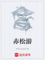 赤松游封面