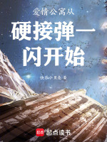 爱情公寓从硬接弹一闪开始封面
