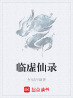 临虚仙录封面