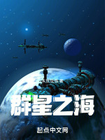 群星之海封面