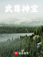 武尊神宝封面