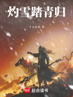 灼雪踏青归封面