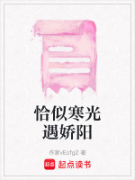 恰似寒光遇娇阳封面