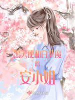 黑天使和白恶魔的安小姐封面