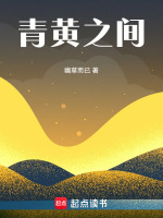 青黄之间封面