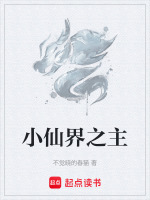 小仙界之主封面