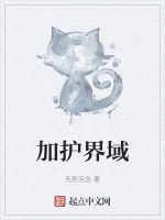 加护界域封面