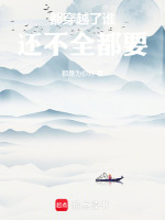 都穿越了谁还不全都要封面