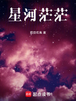 星河茫茫封面