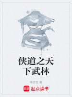 侠道之天下武林封面