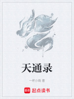 天通录封面