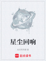 星尘回响封面