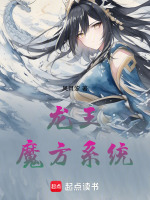 龙王：魔方系统封面