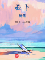 云卜诗集封面