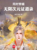 同时穿越：无限次元证道录封面