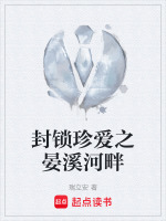 封锁珍爱之晏溪河畔封面