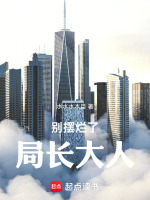 别摆烂了，局长大人！封面