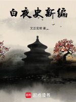 白夜史新编封面