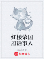 红楼荣国府话事人封面
