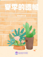 夏季的遗憾封面