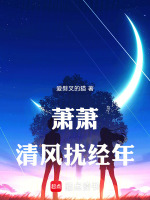 萧萧清风扰经年封面