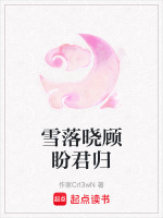 雪落晓顾盼君归封面