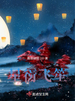 星衍飞笙封面