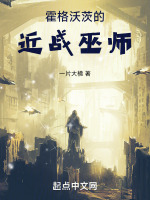 霍格沃茨的近战巫师封面