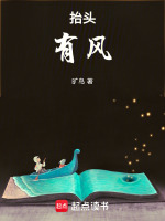 抬头有风封面