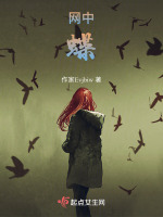 网中蝶封面