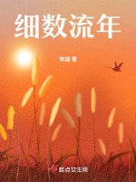 细数流年封面