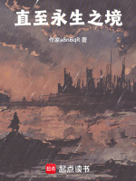 直至永生之境封面