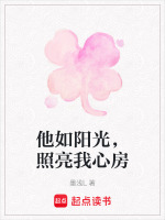 他如阳光，照亮我心房封面