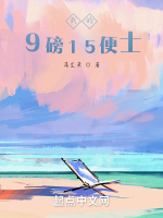 我的9磅15便士封面
