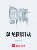 双龙阴阳劫封面
