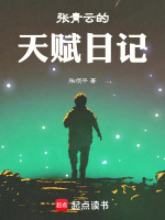 张青云履历小说封面